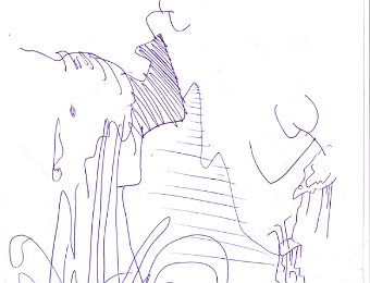 furman0004
